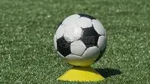 电竞竞猜官方网站 资讯 085333 a1y