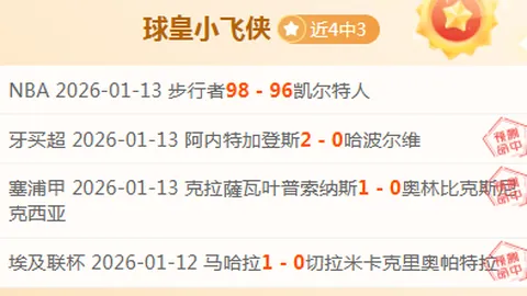 35岁波黑球星哲科或免费加盟国米