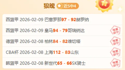 澳超盛宴：深度剖析麦克阿瑟与墨尔本城对决，精彩比分揭晓！